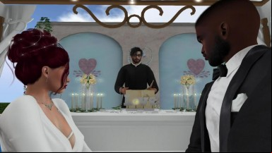 Elegant and Horny Wedding